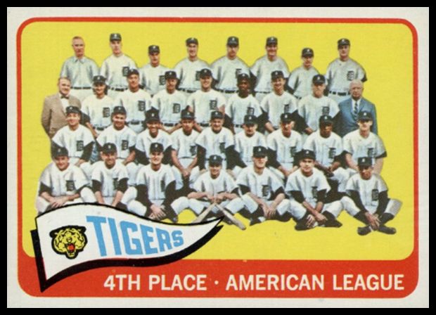 173 Tigers Team